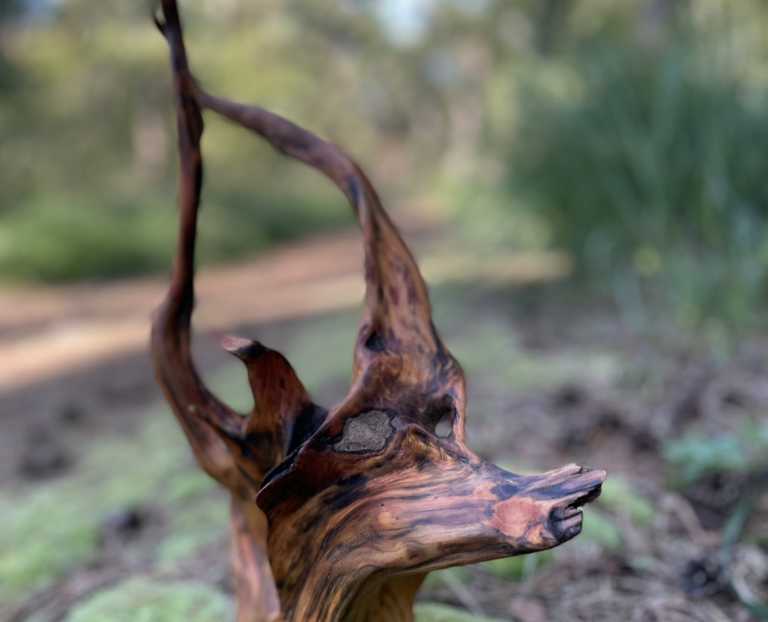 Clemens Voigt "Cerf volant" (2021). Wooden sculpture. Wild wood. Pine tree roots. 38 x 25 x 12 cm