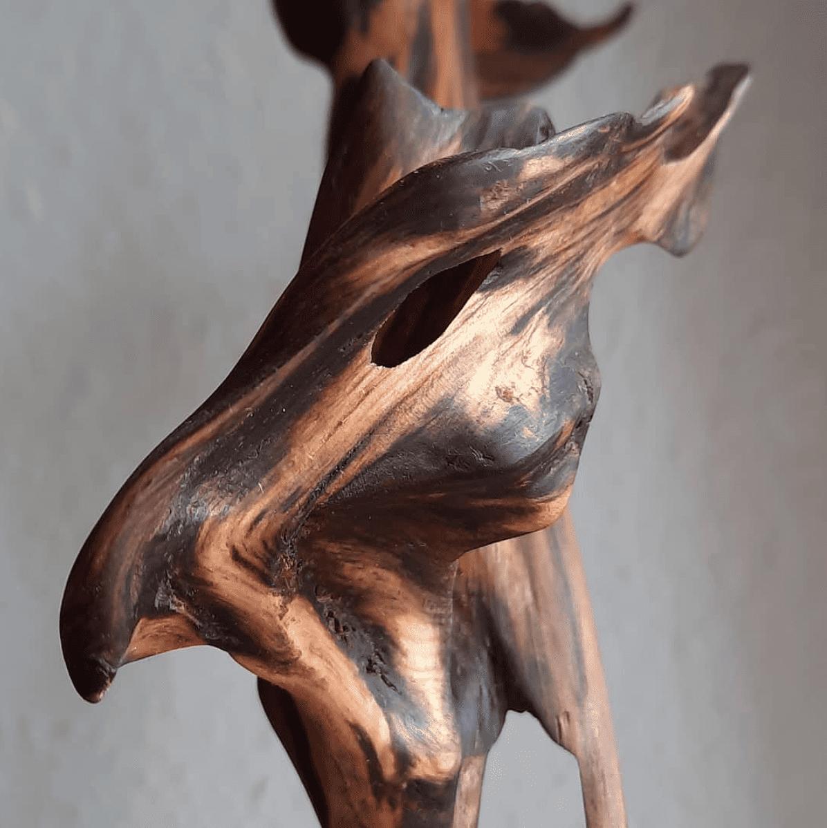 Clemens Voigt "Dragon Tree" (2020). Wooden sculpture. Wild wood. Pine tree roots. 18 cm
